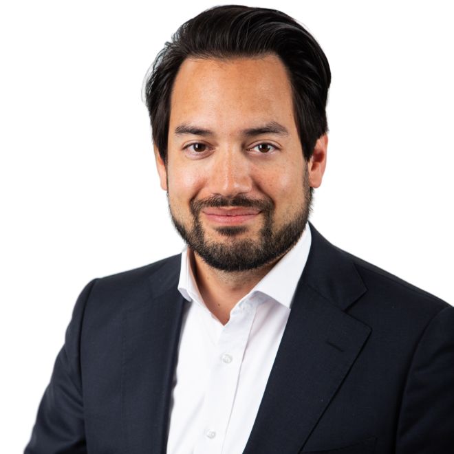 Michele Kröger, Consultant